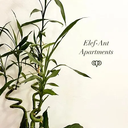 Elef-ant Διαμέρισμα Ηράκλειο Κρήτης